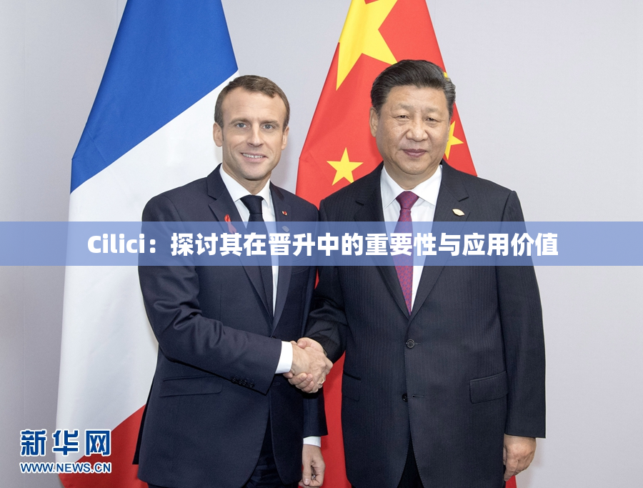 Cilici：探讨其在晋升中的重要性与应用价值