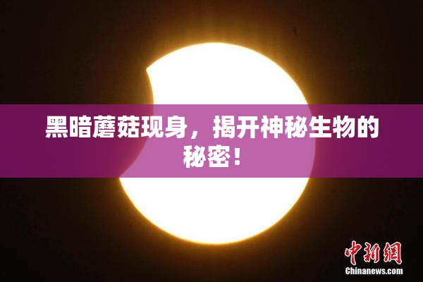 黑暗蘑菇现身，揭开神秘生物的秘密！