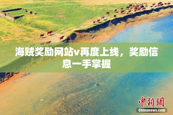 海贼奖励网站v再度上线，奖励信息一手掌握