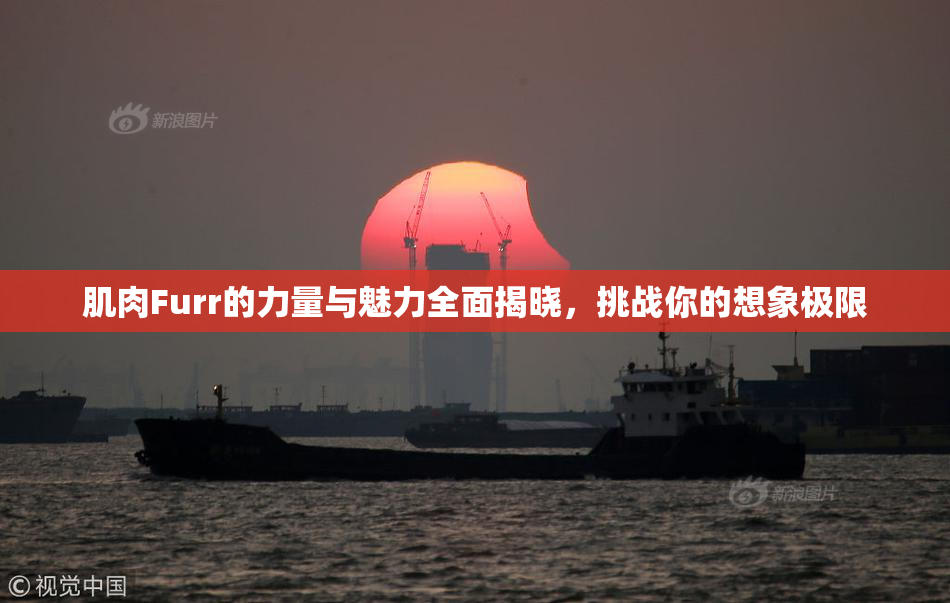 肌肉Furr的力量与魅力全面揭晓，挑战你的想象极限