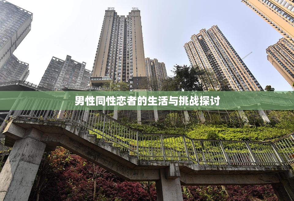 男性同性恋者的生活与挑战探讨