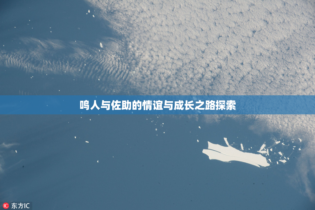 鸣人与佐助的情谊与成长之路探索