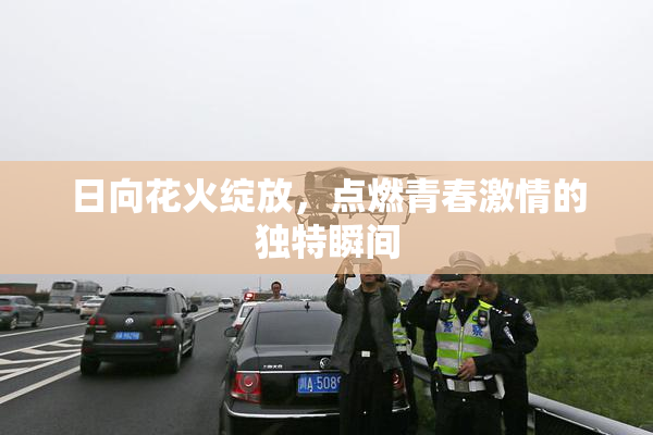 日向花火绽放，点燃青春激情的独特瞬间