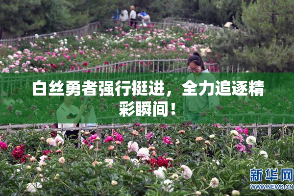 白丝勇者强行挺进，全力追逐精彩瞬间！