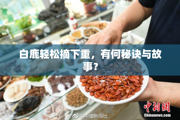 白鹿轻松摘下重，有何秘诀与故事？