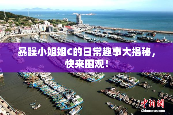 暴躁小姐姐C的日常趣事大揭秘，快来围观！