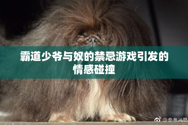 霸道少爷与奴的禁忌游戏引发的情感碰撞