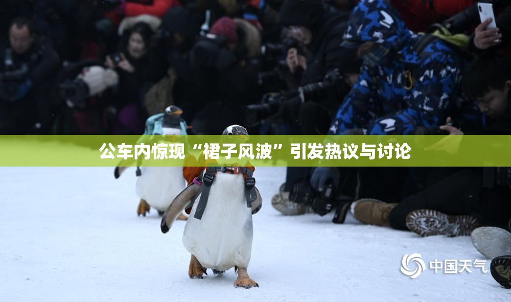公车内惊现“裙子风波”引发热议与讨论