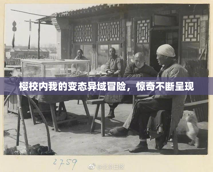 樱校内我的变态异域冒险，惊奇不断呈现