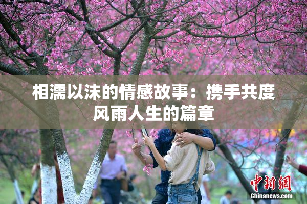 相濡以沫的情感故事：携手共度风雨人生的篇章