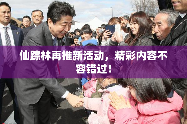 仙踪林再推新活动，精彩内容不容错过！