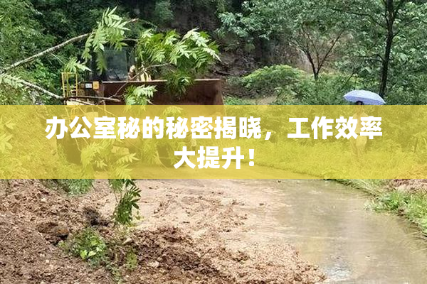 办公室秘的秘密揭晓，工作效率大提升！