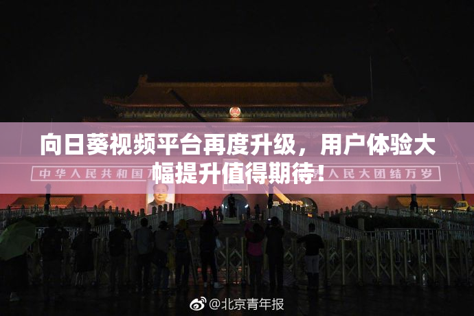向日葵视频平台再度升级，用户体验大幅提升值得期待！