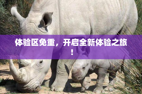 体验区免重，开启全新体验之旅！