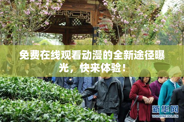 免费在线观看动漫的全新途径曝光，快来体验！