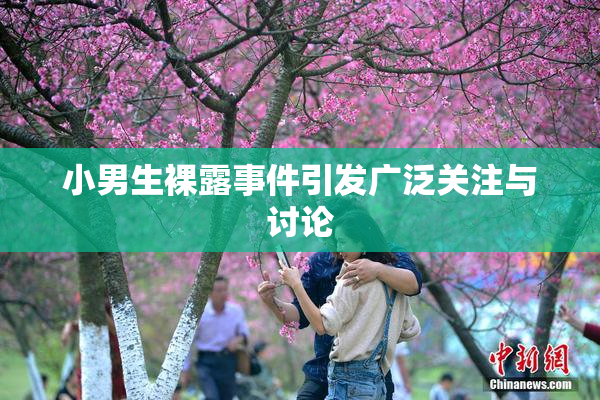 小男生裸露事件引发广泛关注与讨论