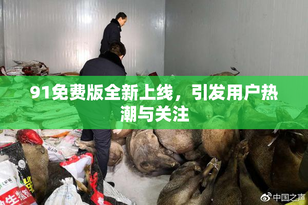 91免费版全新上线，引发用户热潮与关注
