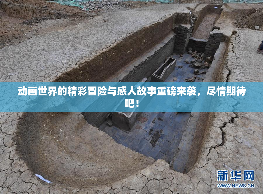 动画世界的精彩冒险与感人故事重磅来袭，尽情期待吧！