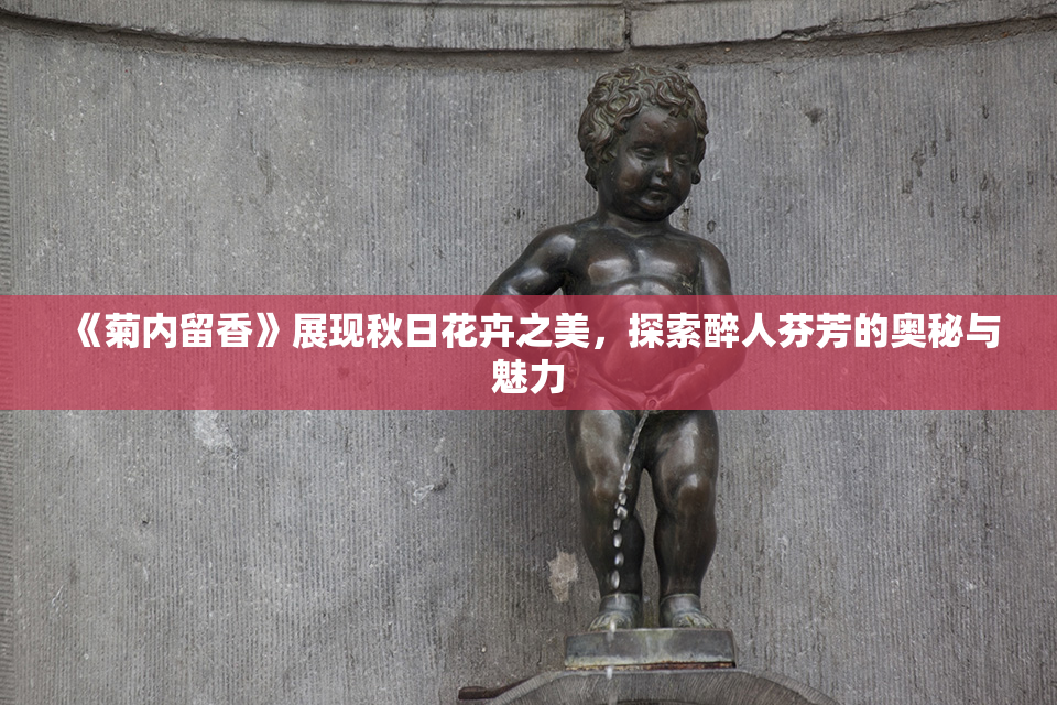 《菊内留香》展现秋日花卉之美，探索醉人芬芳的奥秘与魅力