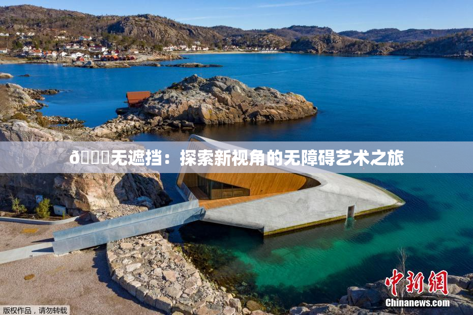 🔞无遮挡：探索新视角的无障碍艺术之旅