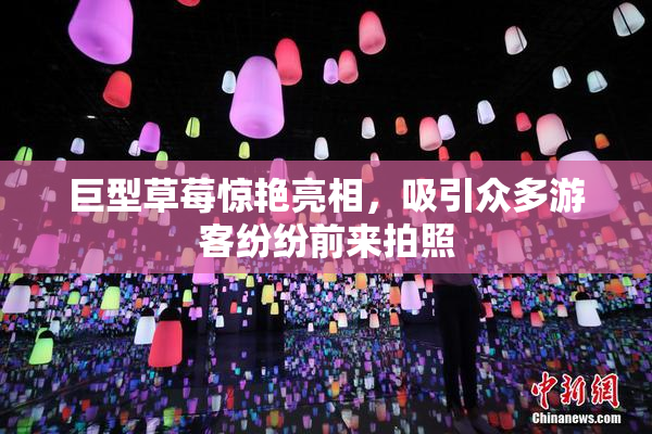 巨型草莓惊艳亮相，吸引众多游客纷纷前来拍照