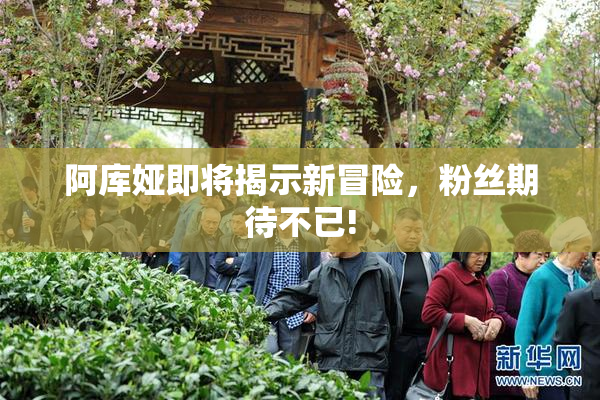 阿库娅即将揭示新冒险，粉丝期待不已!