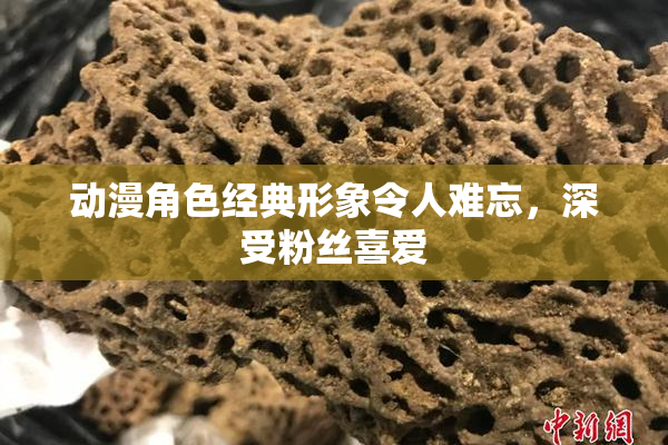 动漫角色经典形象令人难忘，深受粉丝喜爱