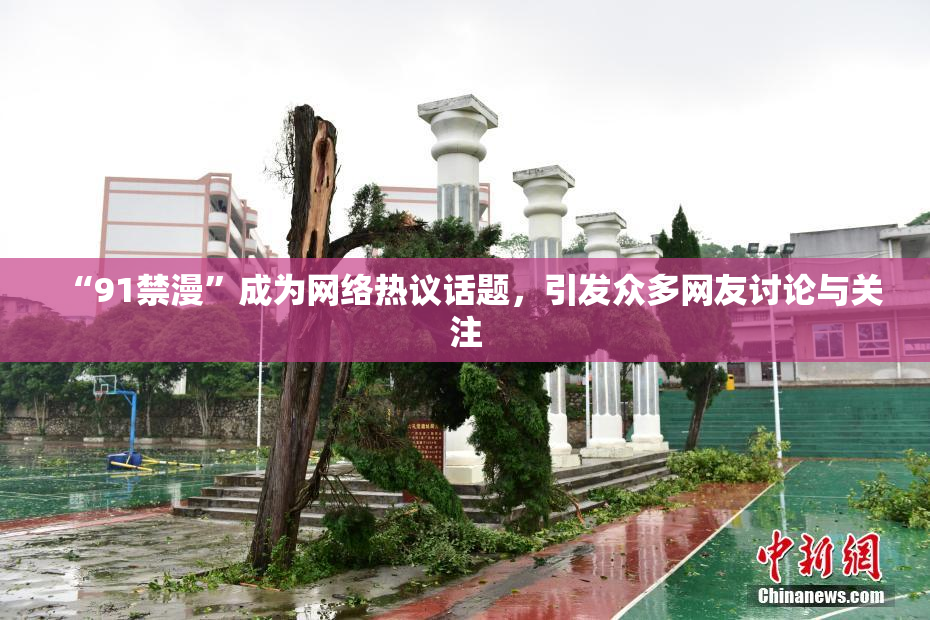 “91禁漫”成为网络热议话题，引发众多网友讨论与关注