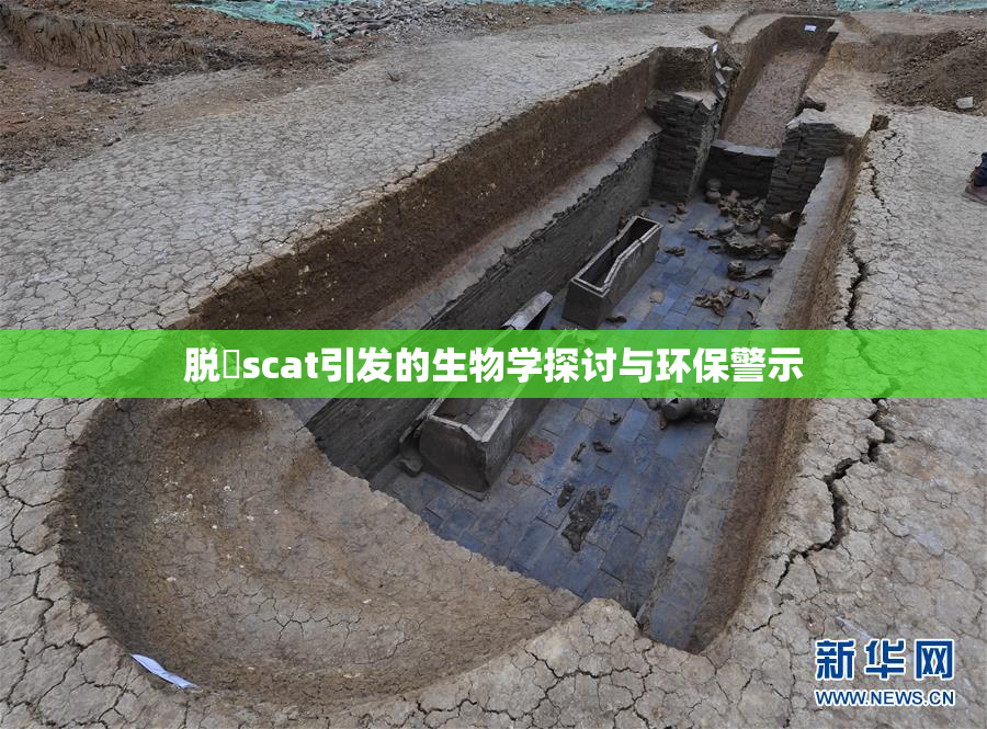 脱糞scat引发的生物学探讨与环保警示