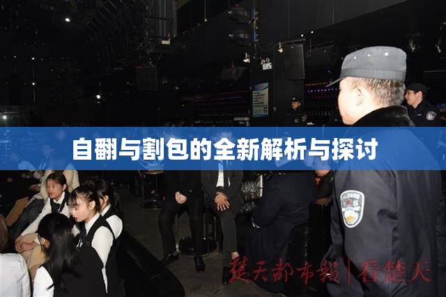 自翻与割包的全新解析与探讨