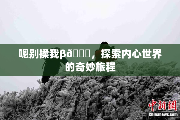 嗯别揉我β🔞，探索内心世界的奇妙旅程