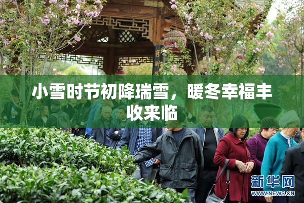小雪时节初降瑞雪，暖冬幸福丰收来临