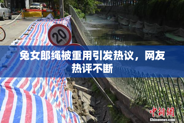 兔女郎绳被重用引发热议，网友热评不断