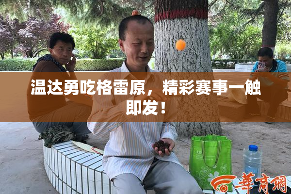温达勇吃格雷原，精彩赛事一触即发！