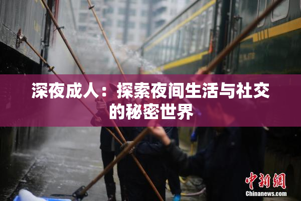 深夜成人：探索夜间生活与社交的秘密世界