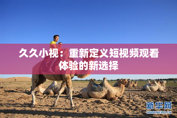 久久小视：重新定义短视频观看体验的新选择