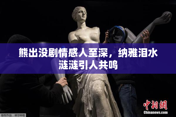 熊出没剧情感人至深，纳雅泪水涟涟引人共鸣