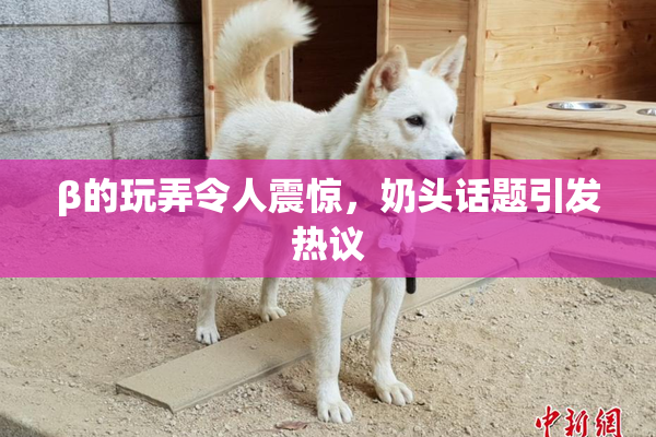 β的玩弄令人震惊，奶头话题引发热议