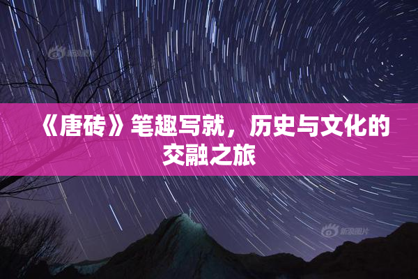 《唐砖》笔趣写就，历史与文化的交融之旅