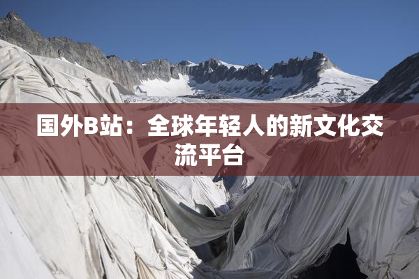 国外B站：全球年轻人的新文化交流平台