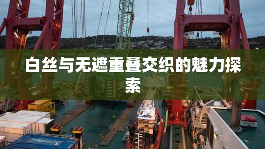 白丝与无遮重叠交织的魅力探索