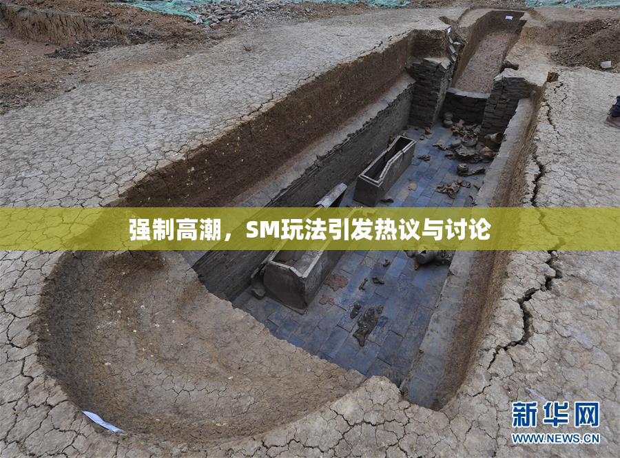 强制高潮，SM玩法引发热议与讨论