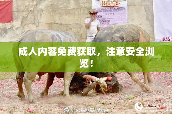 成人内容免费获取，注意安全浏览！