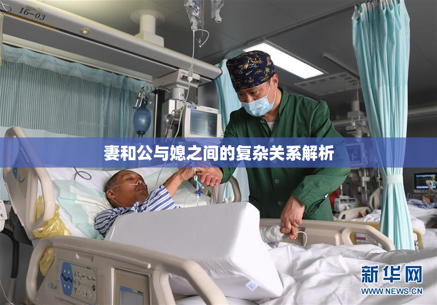 妻和公与媳之间的复杂关系解析