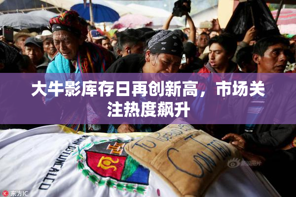 大牛影库存日再创新高，市场关注热度飙升