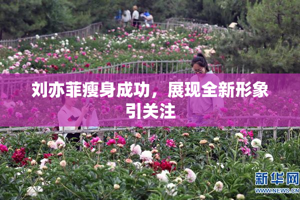 刘亦菲瘦身成功，展现全新形象引关注