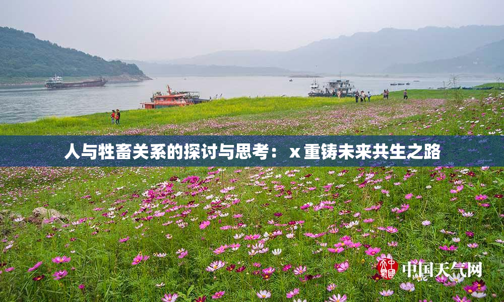 人与牲畜关系的探讨与思考：ⅹ重铸未来共生之路
