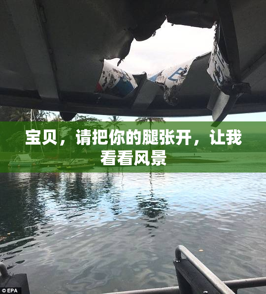 宝贝，请把你的腿张开，让我看看风景