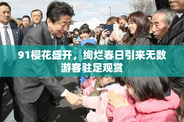 91樱花盛开，绚烂春日引来无数游客驻足观赏