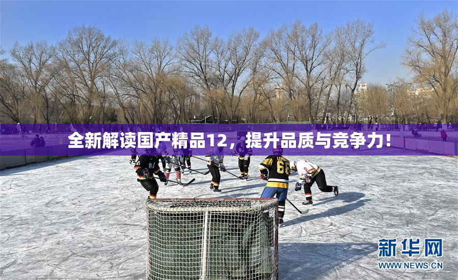 全新解读国产精品12，提升品质与竞争力！
